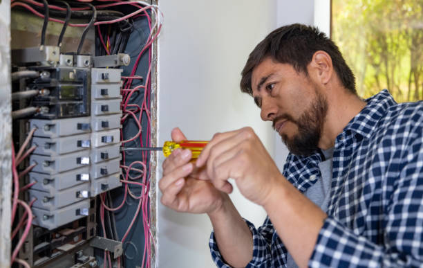 Best Electrical Panel Upgrades  in USA